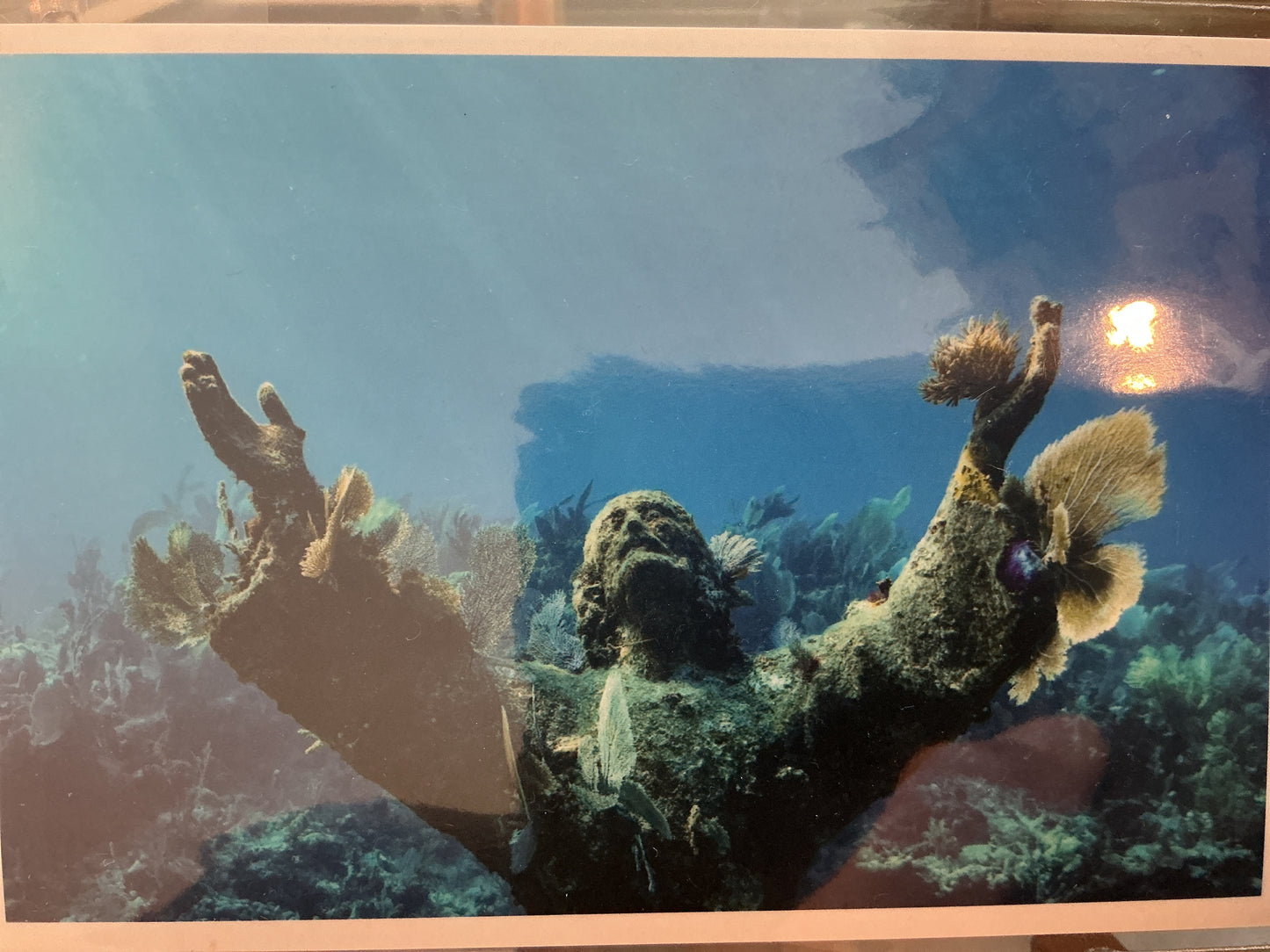 Ashlyn Underwater Photos