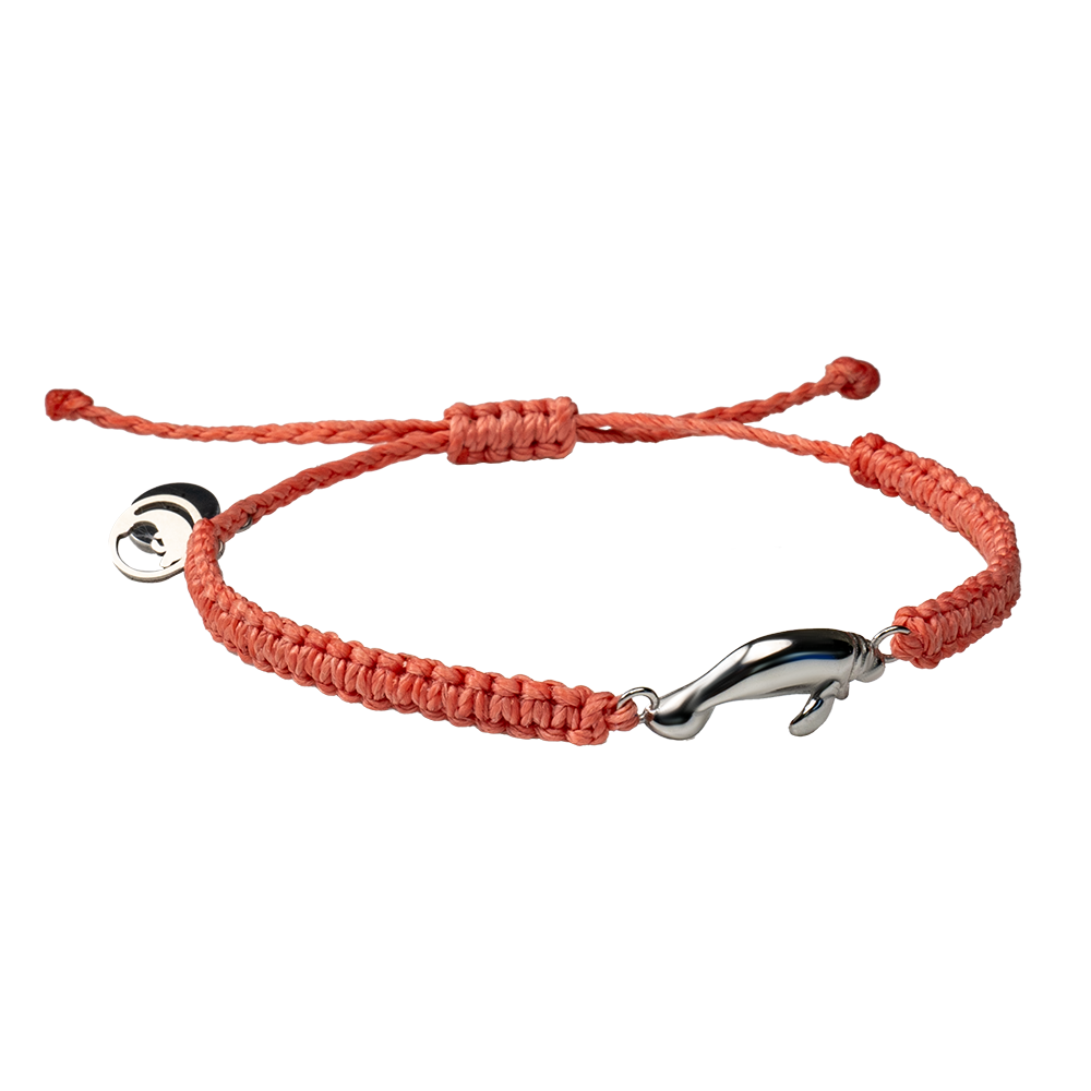 4ocean Adopt a Manatee Bracelet - Zelda [6-pack]