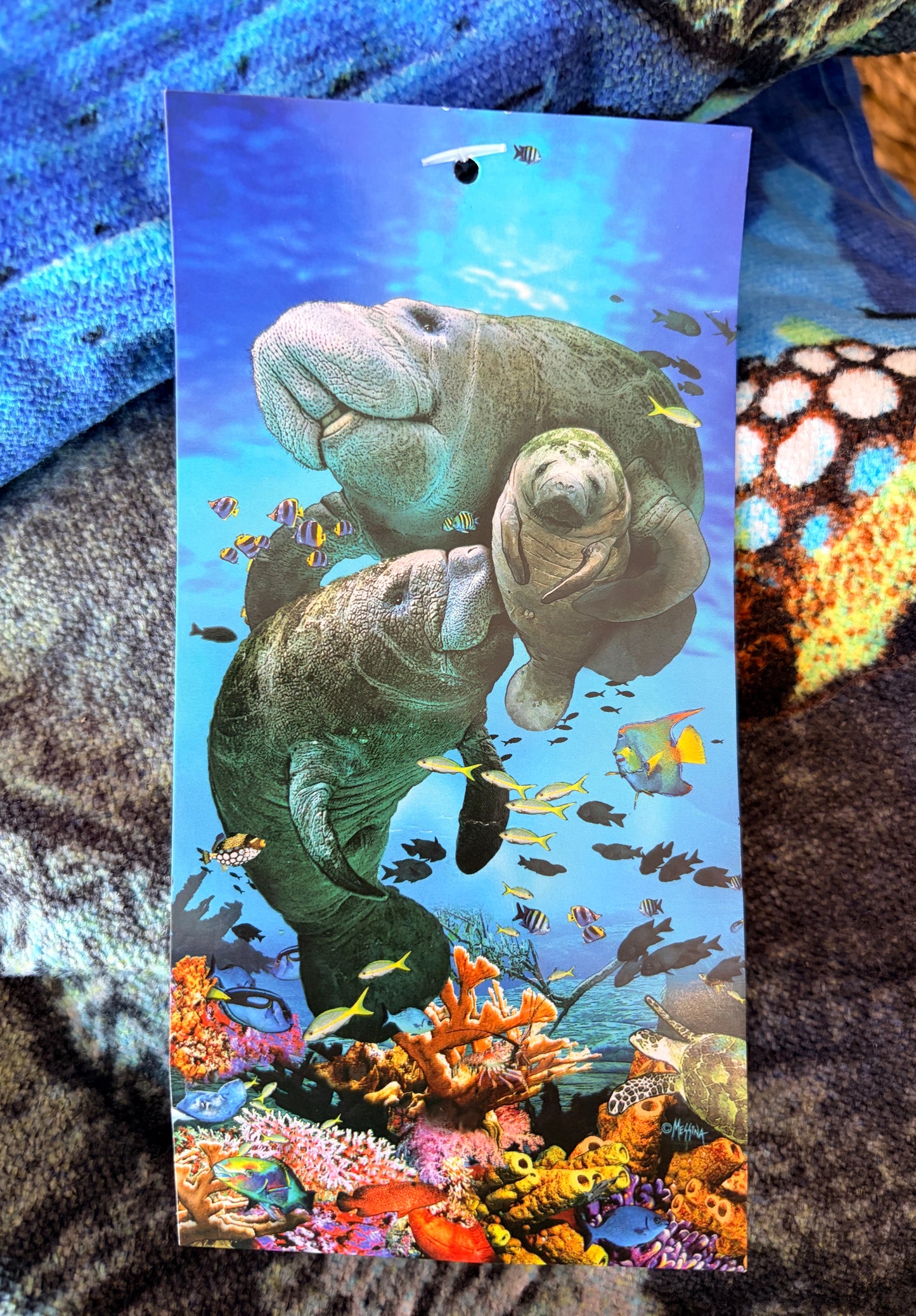 Beach Towels 30" x 60"