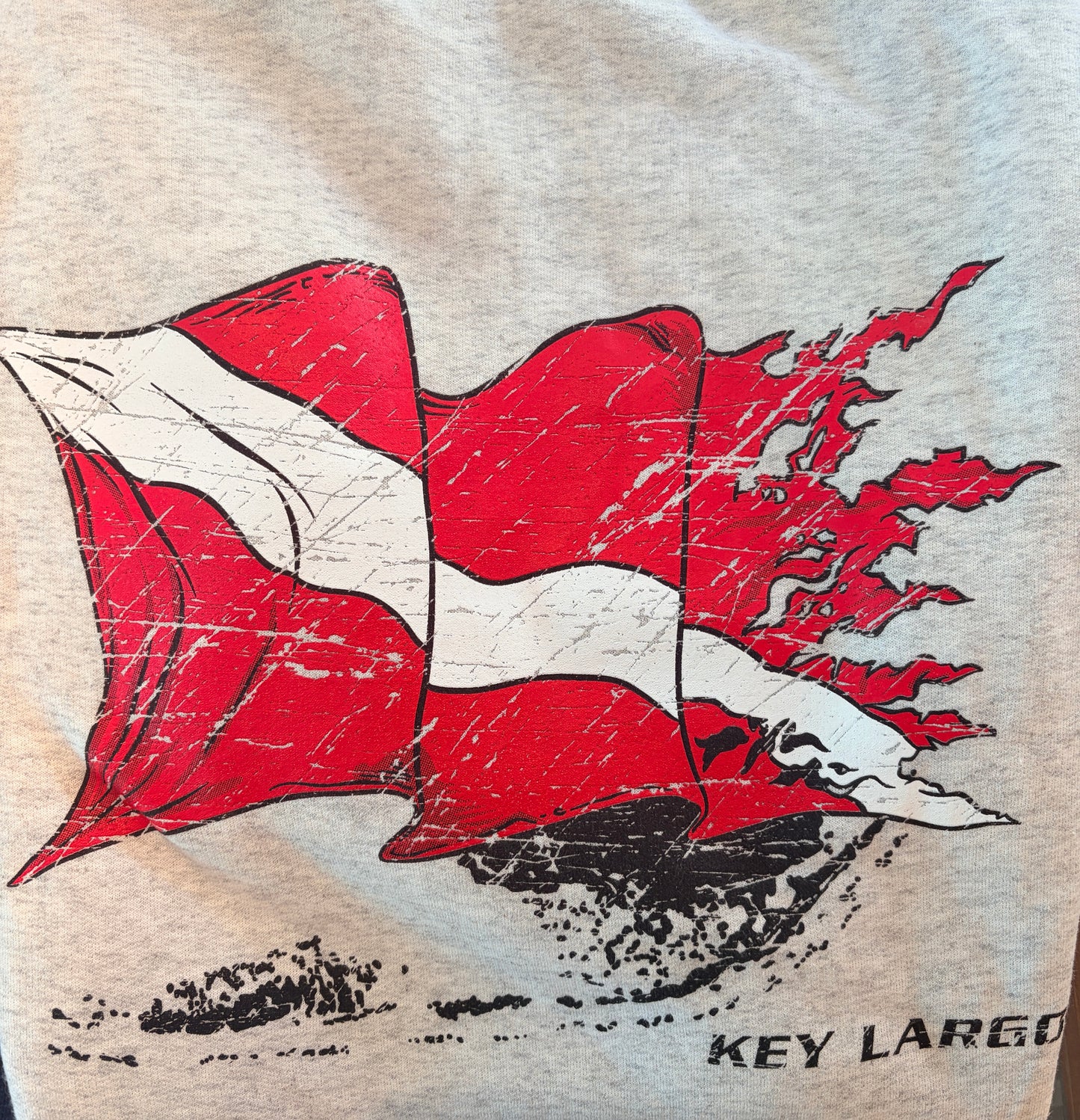 Dive Flag Hoodie