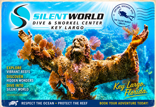 Silent World Post Cards 6"x4"