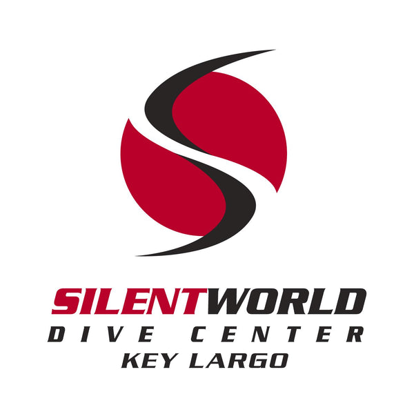 Silent World 